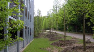 Mehr über den Artikel erfahren Ausgleichspflanzung Ruhr Universität Bochum